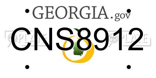 CNS8912 Georgia License Plate