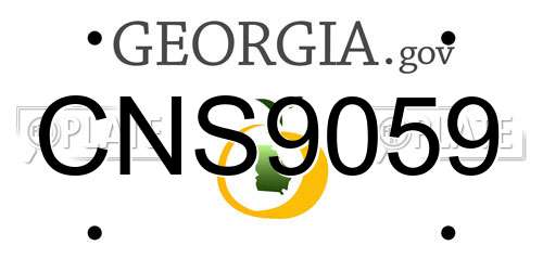 CNS9059 Georgia License Plate