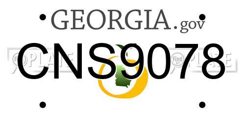 CNS9078 Georgia License Plate