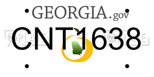 CNT1638 Georgia License Plate