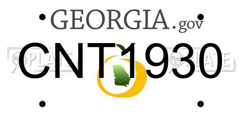 CNT1930 Georgia License Plate