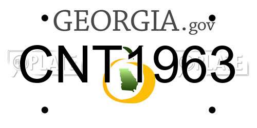 CNT1963 Georgia License Plate
