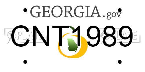 CNT1989 Georgia License Plate
