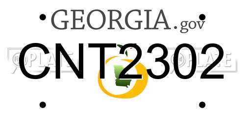 CNT2302 Georgia License Plate