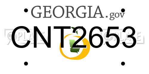 CNT2653 Georgia License Plate