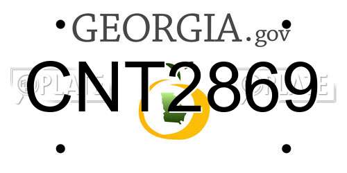 CNT2869 Georgia License Plate