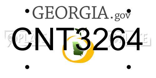 CNT3264 Georgia License Plate