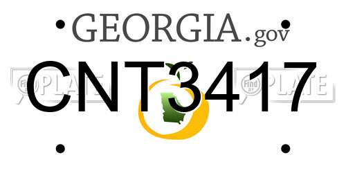 CNT3417 Georgia License Plate