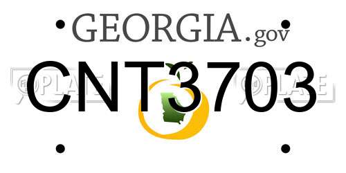 CNT3703 Georgia License Plate