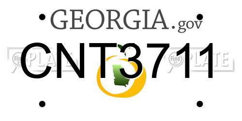 CNT3711 Georgia License Plate