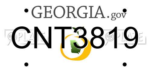 CNT3819 Georgia License Plate