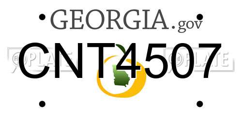 CNT4507 Georgia License Plate