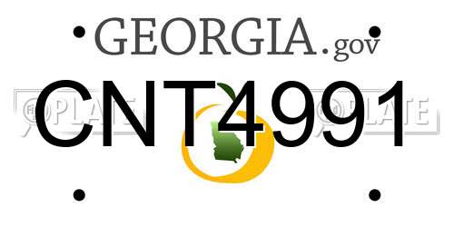 CNT4991 Georgia License Plate