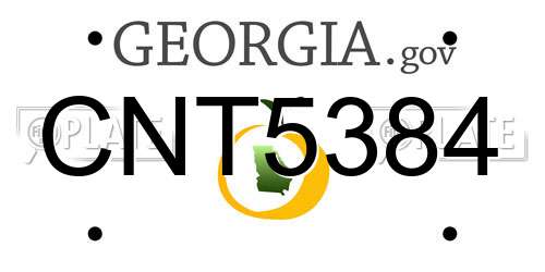 CNT5384 Georgia License Plate