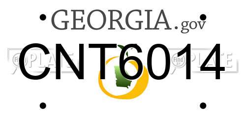 CNT6014 Georgia License Plate
