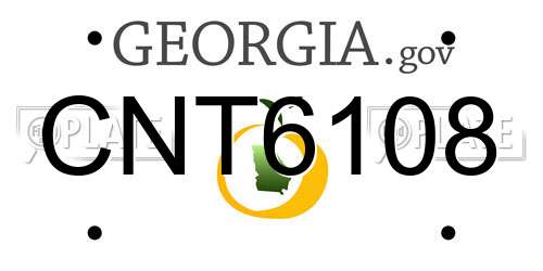 CNT6108 Georgia License Plate