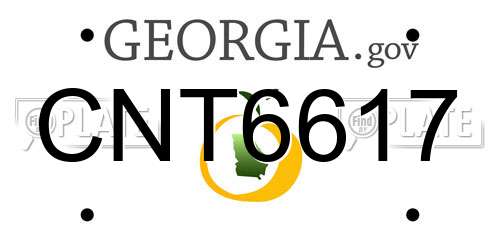 CNT6617 Georgia License Plate