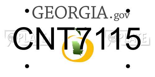 CNT7115 Georgia License Plate