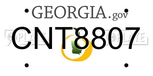 CNT8807 Georgia License Plate