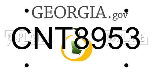 CNT8953 Georgia License Plate