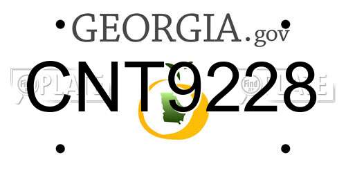 CNT9228 Georgia License Plate