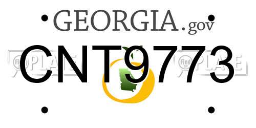 CNT9773 Georgia License Plate