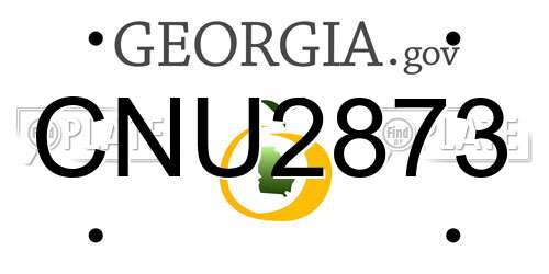 CNU2873 Georgia License Plate