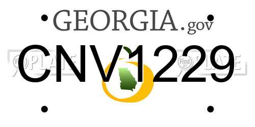 CNV1229 Georgia License Plate