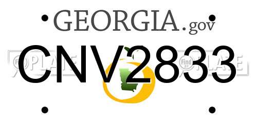 CNV2833 Georgia License Plate