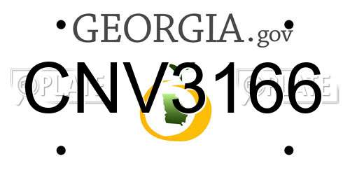 CNV3166 Georgia License Plate