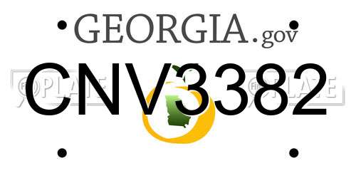 CNV3382 Georgia License Plate