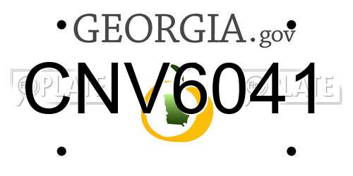CNV6041 Georgia License Plate