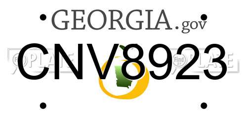 CNV8923 Georgia License Plate