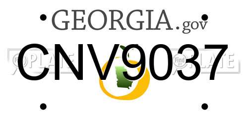 CNV9037 Georgia License Plate