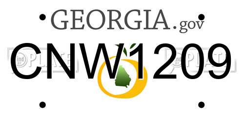 CNW1209 Georgia License Plate