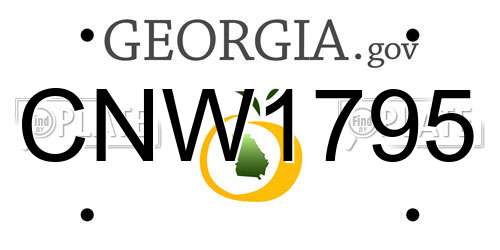CNW1795 Georgia License Plate