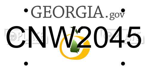 CNW2045 Georgia License Plate