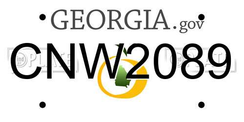 CNW2089 Georgia License Plate