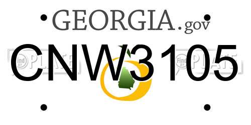 CNW3105 Georgia License Plate