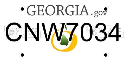 CNW7034 Georgia License Plate