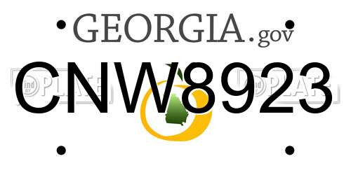 CNW8923 Georgia License Plate