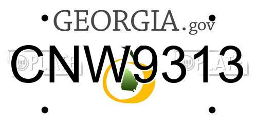CNW9313 Georgia License Plate