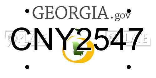 CNY2547 Georgia License Plate