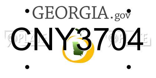 CNY3704 Georgia License Plate