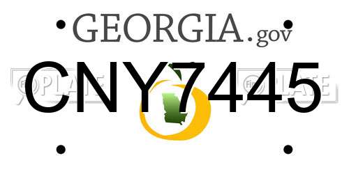CNY7445 Georgia License Plate
