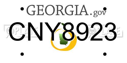 CNY8923 Georgia License Plate