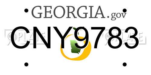 CNY9783 Georgia License Plate