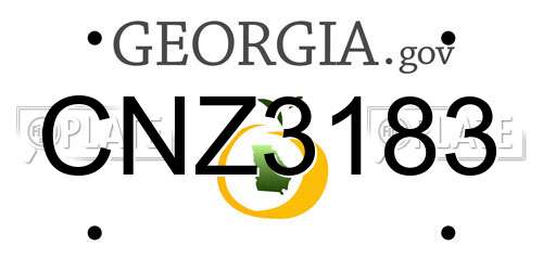 CNZ3183 Georgia License Plate
