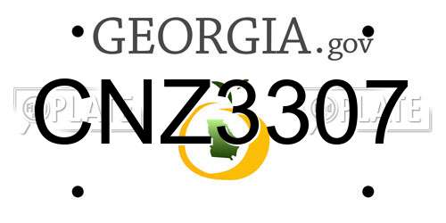 CNZ3307 Georgia License Plate