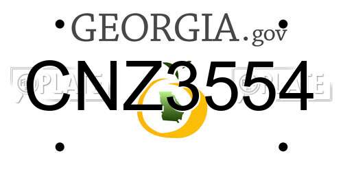 CNZ3554 Georgia License Plate